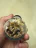 特瑞肯柠檬海盐黑胡椒研磨瓶装45g西餐健身餐提味牛排蔬菜沙拉调味料 实拍图