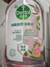 滴露（Dettol）衣物消毒液自然香氛洗衣除菌液 除螨48h留香1000ml*1灭活白念珠菌 实拍图