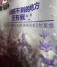 老管家薰衣草除湿袋230g*10挂式香薰衣柜干燥剂家用卧室吸湿防潮回南天 实拍图