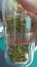 徽六绿茶黄山毛峰茶叶250g 2026新茶寻味500特三明前自己喝配礼袋送人 实拍图