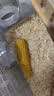 比克熊仓鼠磨牙棒小玉米装金丝熊零食营养粮食造景用品4根 实拍图