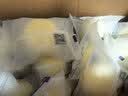 港荣木糖醇蒸蛋糕1000g 面包早餐零食糕点心下午茶京东专供礼品盒 实拍图