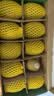 佳沛（zespri）新西兰金奇异果10个装单果重103-114g猕猴桃中秋节礼品送水果礼盒 实拍图