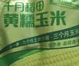十月稻田 【新玉米·品种升级】黄甜糯玉米 10根 4.4斤 东北杂粮 中秋礼盒 实拍图