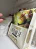 十月稻田 脱皮绿豆 2斤 去皮绿豆汤绿豆糕绿豆沙原料 馅料 五谷杂粮 实拍图