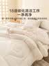 京东京造100%澳洲羊毛被Pro远红外发热抗菌防螨冬厚被200×230cm约7.6斤 实拍图