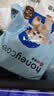 HONEYCARE好命家宠物尿垫猫狗尿片 训导防漏尿布 加厚狗狗厕所垫M码45*60cm 实拍图