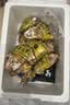 鲜京采  鲜活生蚝5XL 净重5斤 9-12只 乳山牡蛎 火锅 新鲜海鲜 中秋 实拍图