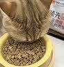领先烘焙猫粮100g  鲜鸡肉羊奶低温无谷全价猫粮（新老款随机发） 实拍图
