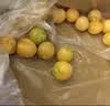 京觅东北姑娘果净重3斤灯笼果黄菇娘洋姑娘果水果特产 源头直发包邮 实拍图