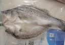 仙泉湖三去白蕉海鲈鱼400g/条净膛冷冻刺少肉厚特产海鲜水产生鲜食材 实拍图