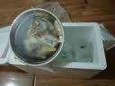 德芙 全家桶 丝滑牛奶巧克力 碗装18粒216g 休闲零食 糖果 生日礼物 实拍图