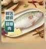 鲜活冲浪河鲈鱼400-500g/条 中秋送礼家宴宴请 实拍图