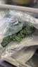 新鲜羽衣甘蓝生鲜蔬菜嫩叶云南甘兰芥蓝西餐沙拉榨汁减脂直播间 云南羽衣甘蓝分享4斤净重 实拍图