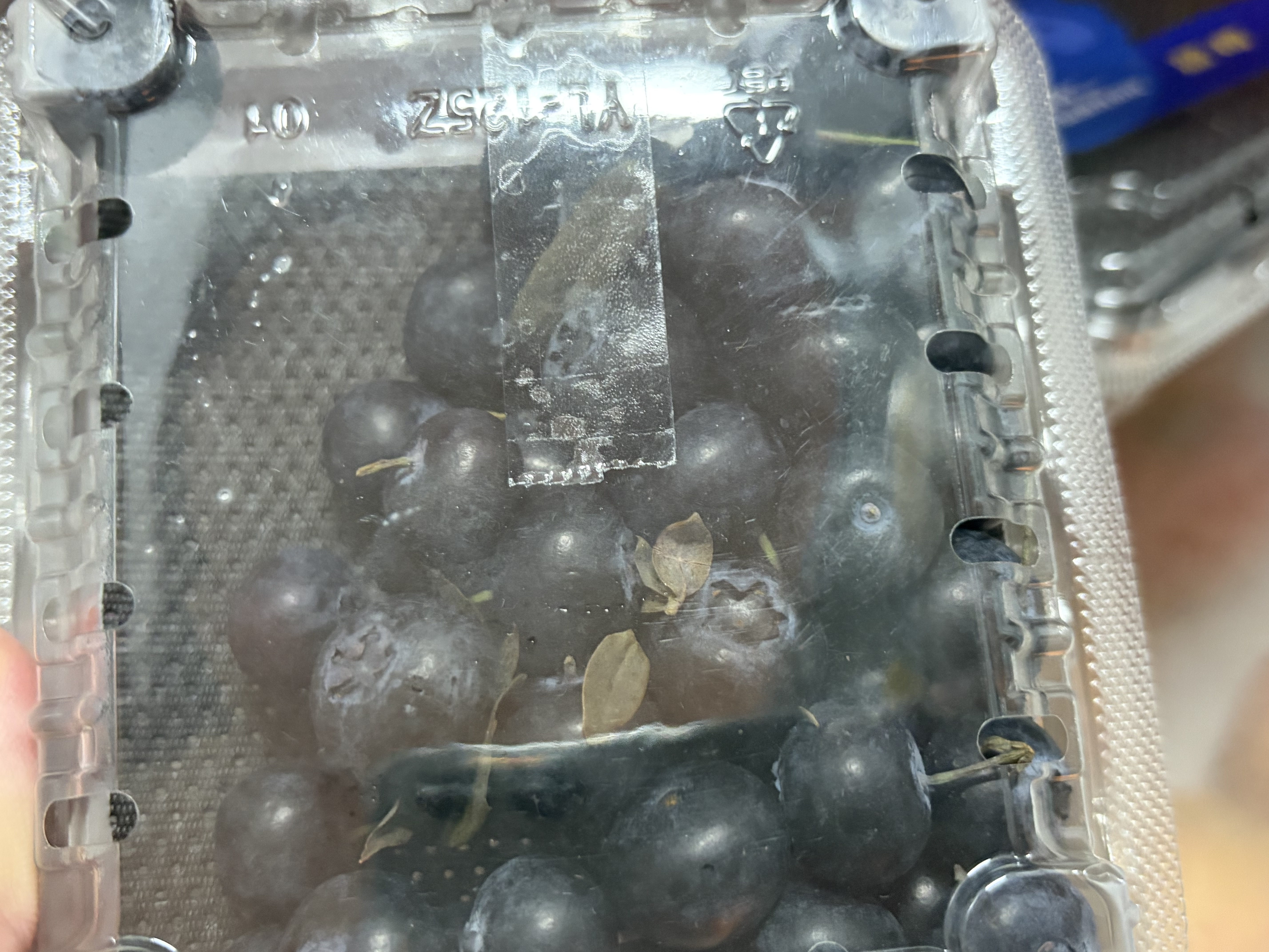 京鲜生 云南蓝莓 2盒装 14mm+ 100g/盒 生鲜水果 源头直采包邮 实拍图