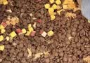 网易严选犬粮全价冻干三拼鸡肉狗粮幼犬成犬小型中大型犬10kg【宠物金选】 实拍图