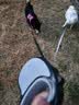 欢宠网宠物自动伸缩狗绳狗狗牵引绳猫咪猫溜遛狗绳子遛猫绳牵狗链子小狗 实拍图