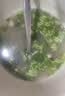草原汇香 牧场羊杂原味250g*3袋熟食羊杂汤羊杂碎开袋即食内蒙特产 实拍图