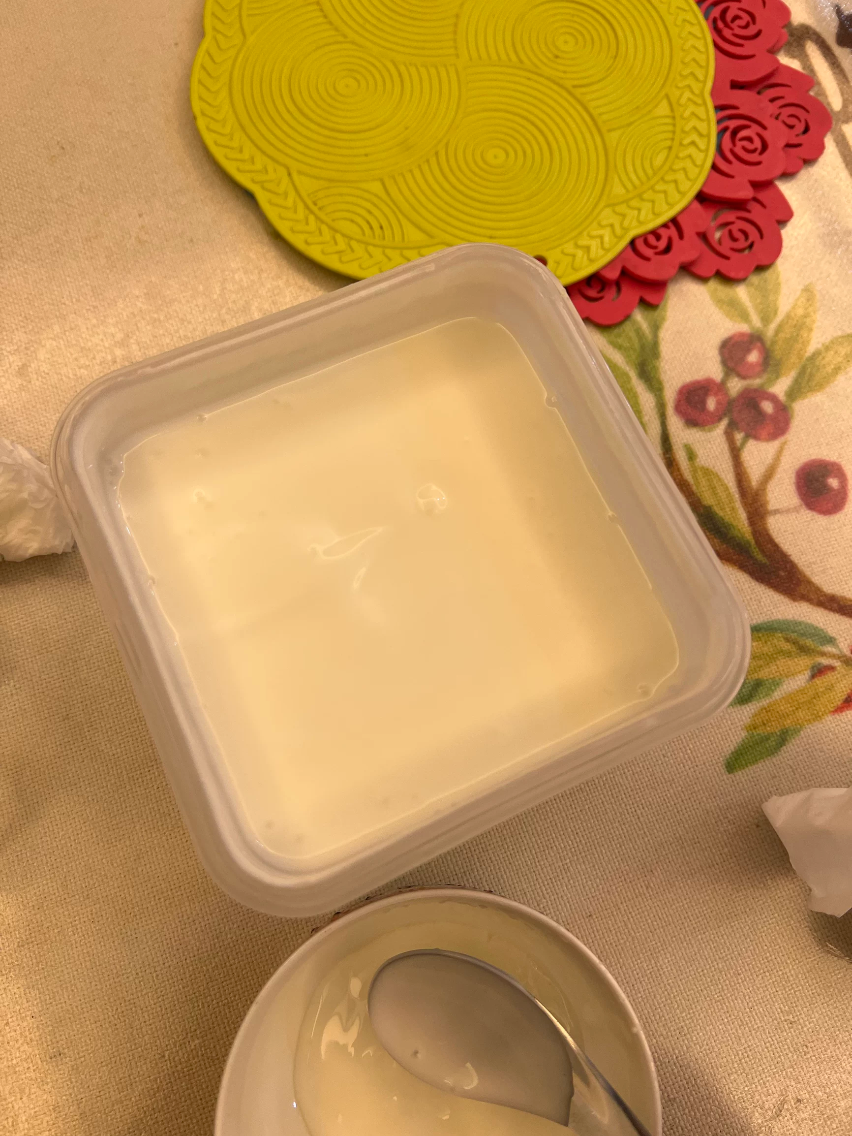 西域春酸奶大方桶新疆老酸奶低温全脂风味水果捞酸奶益生菌生牛乳发酵乳 西域春方桶酸奶1kg*1桶 实拍图