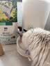 LEGENDSANDY蓝氏猎鸟乳鸽生骨肉冻干猫粮 全价成猫幼猫猫粮1.5kg 实拍图