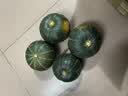 京鲜生 山东贝贝南瓜净3斤(粉糯瓜)中果300+蔬菜辅食板栗味源头直发 实拍图