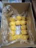 佳农烟台红富士苹果 净重10斤 一级果 单果重160g+  生鲜水果源头直发 实拍图