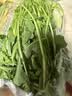 【水果菜】芝麻菜150g 实拍图