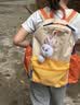 SHUKIKU儿童书包1-3年级小学生超轻防泼水透气背包户外旅游 橘子汽水M码 实拍图