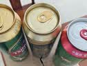 青岛啤酒（TsingTao）经典（1903）500ml*24罐 整箱装批发 晒单实拍图