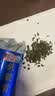 福茗源四大乌龙茶500g 特级2026新茶大红袍铁观音单枞冻顶乌龙茶叶礼盒 实拍图