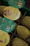 佳沛（zespri）新西兰金奇异果8粒特大果124-146g猕猴桃中秋节礼品送水果礼盒 实拍图