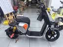 九号（Ninebot）九号电动Fz3 110 新国标电自 智能长续航电动自行车【门店自提】 到门店选颜色 实拍图