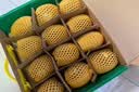 佳沛（zespri）金奇异果25-27粒原箱特大果124-146g猕猴桃水果礼盒 实拍图