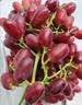 京鲜生 云南克伦生无籽红提 尝鲜装2-2.3斤 爽脆爽口 皮薄可食 生鲜水果 实拍图