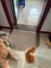 宝路狗粮全犬种通用全价粮成犬狗粮中小型犬牛肉味7.5kg【原料透明】 实拍图