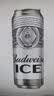 百威冰啤酒500ml*18罐整箱装【99%好评】京东自营 实拍图