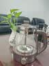 小熊（Bear）煮茶器蒸汽喷淋式养生壶加厚玻璃煮茶器黑茶办公室蒸茶器迷你电热烧水壶保温小型泡茶炉送礼礼物 【304滤网-旋钮控制】 1L 实拍图