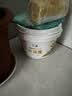 立邦开学季补墙膏墙面修复防水防霉抗菌修补膏堵洞腻子膏白色2.5kg 实拍图
