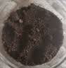IAM City Farmer向日葵儿童种植盆栽种子学生植物观察窗发芽生长趣味diy植物10033 实拍图