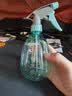 喷壶浇花浇水喷雾器气压式喷水壶家用园艺养花500ml 南瓜喷壶透蓝【1个装】 实拍图