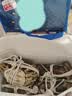 【活蟹】蟹宗现货鲜活大闸蟹全母4.0-4.3两8只生鲜螃蟹海鲜水产节日礼品礼盒源头直发 实拍图