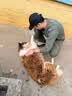 麦富迪狗狗零食 奢华营养鸭肉干1200g成幼犬磨牙训练奖励解馋宠物零食 实拍图