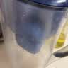 碧然德（BRITA）过滤净水器 家用滤水壶 净水壶 海洋系列 去水垢专家版滤芯11枚 环保加固包装 实拍图