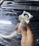 海尔（Haier）全自动波轮洗衣机8KG小型 家用宿舍出租 6键自编程  一级能效 家电补贴 京东自营XQB80-Z10D0 实拍图