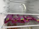 齐善食品大善腊肠 素食素肉豆制品 大豆蛋白净素主义斋菜佛家植物素香肠 【京东仓速发】大善腊肠160g*10包 实拍图