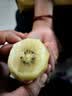佳沛（zespri）新西兰金奇异果10个装单果重103-114g猕猴桃中秋节礼品送水果礼盒 实拍图