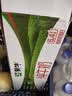 蒙牛【新鲜日期】全脂纯牛奶200ml*24盒 3.2g蛋白 家庭送礼囤货 实拍图