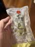 同仁堂海参礼盒即食海参大连辽刺参1.6kg28只固形物100%辽宁海鲜特产 实拍图