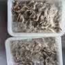 海宴农野生小河虾500g 当季新虾 活虾速冻 中秋礼盒 源头直发 实拍图