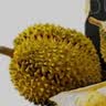 京鲜生【保5房】进口金枕鲜榴莲 4-5斤礼盒装 新鲜水果源头直发 实拍图